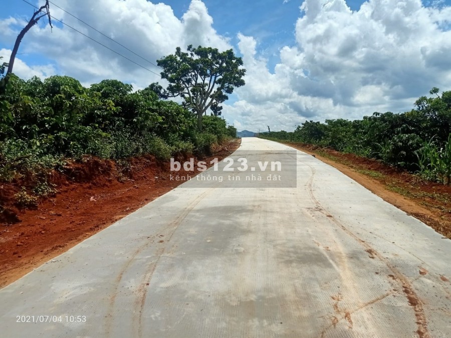 225m2, đất thị trấn Nam Ban ven Đà Lạt chỉ 465 triệu cách Thác Voi 3km
