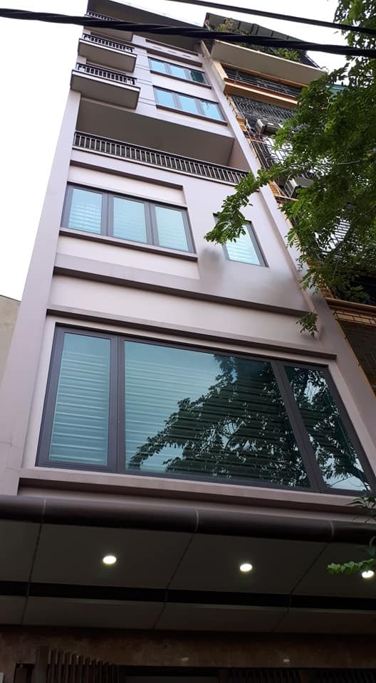 Mặt phố Cầu Giấy vỉa hè đá bóng, ngõ sau 6m kinh doanh đa dạng 55m giá 20.5 bán tỷ