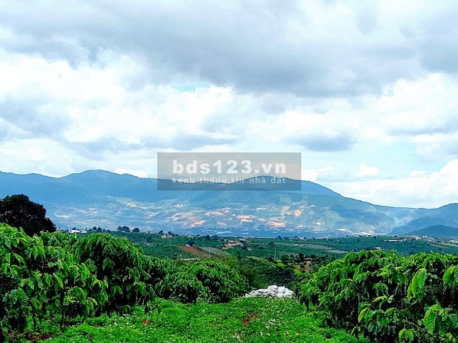 225m2, đất thị trấn Nam Ban ven Đà Lạt chỉ 465 triệu cách Thác Voi 3km