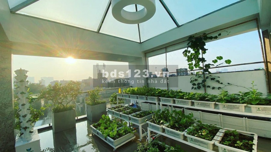 Biệt thự sân vườn sang trọng diện tích 105m2 Phan Văn Trị phường 12 Bình Thạnh