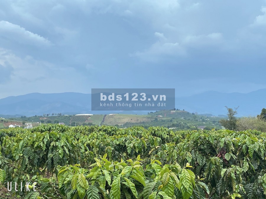 225m2, đất thị trấn Nam Ban ven Đà Lạt chỉ 465 triệu cách Thác Voi 3km