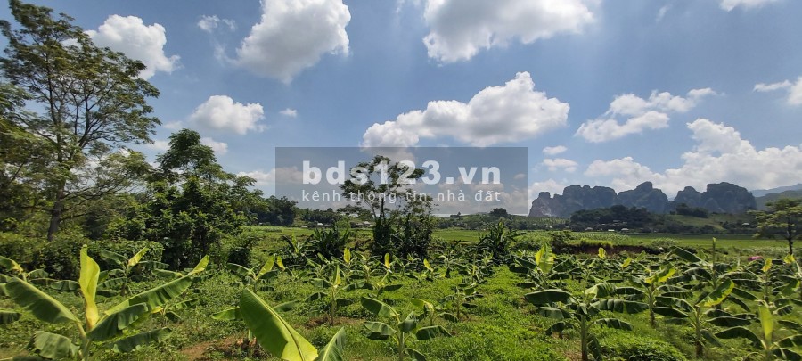 Đât đẹp 3600m2 đât thổ cư, Cao Phong Hoà Bình, pháp lý rõ ràng đầy đủ