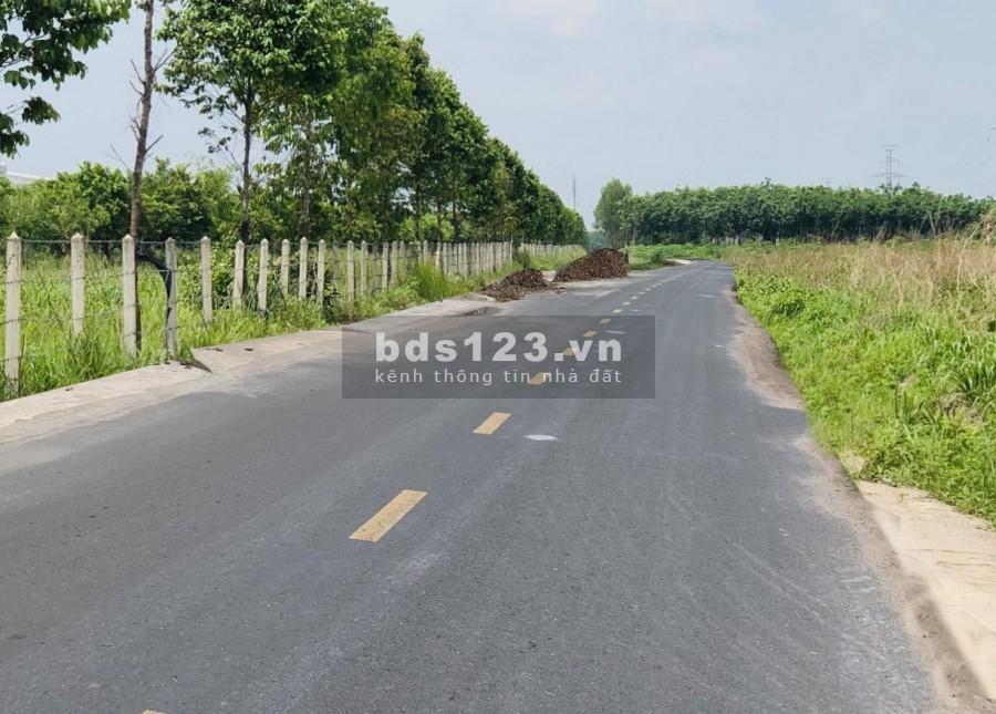 Gia đình tôi cần bán miếng đất diện tích rộng 1100m2 ngay vành đai becamex giá 968 triệu
