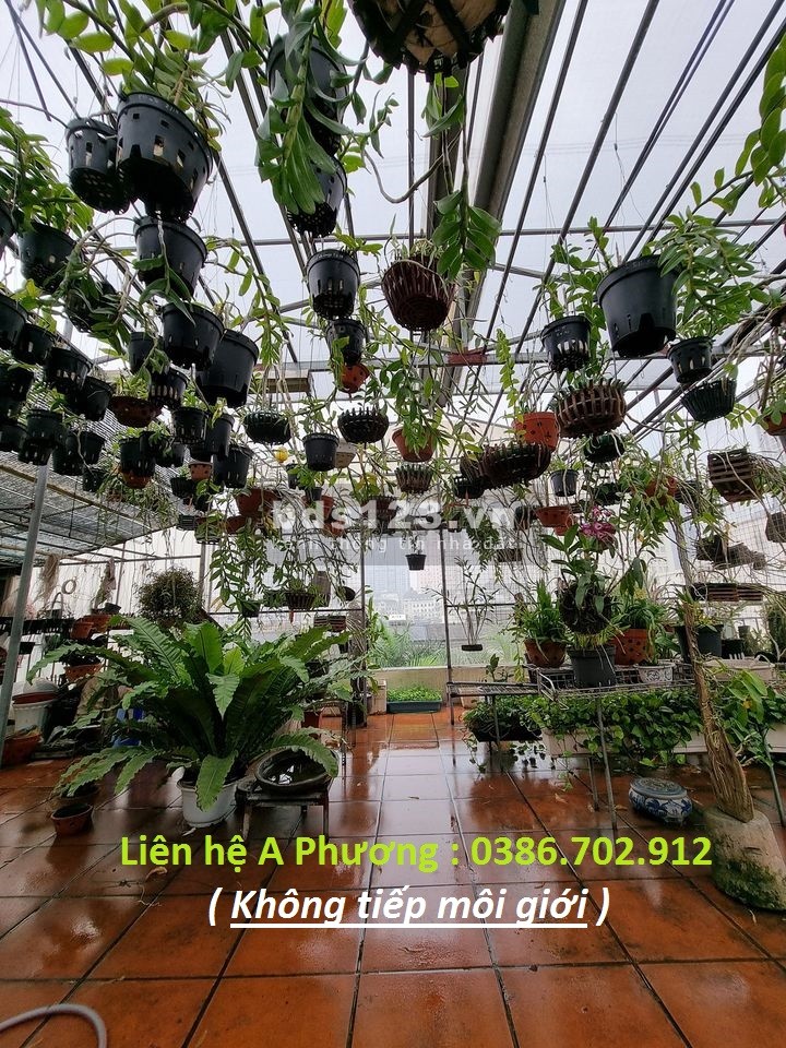 Làng Việt Kiều Châu Âu dt 40m2, 6 tầng đúc kiên cố oto đỗ…