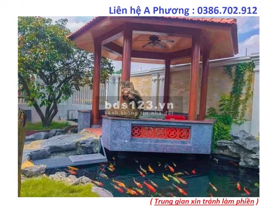 Làng Việt Kiều Châu Âu dt 40m2, 6 tầng đúc kiên cố oto đỗ…