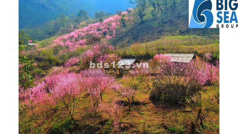 Bán đất Y Tý-SaPa2 vị trí đẹp,đắc địa, view hồ điều hòa Phìn Hồ 6HA, khai thác du lịch bốn mùa, biên độ tăng cao