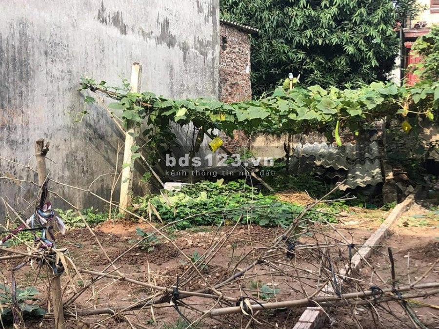 Bán 60m2 đất thổ cư Thôn Hội, Cổ Bi, Gia Lâm chủ bán nhanh giá 2.3 Tỷ