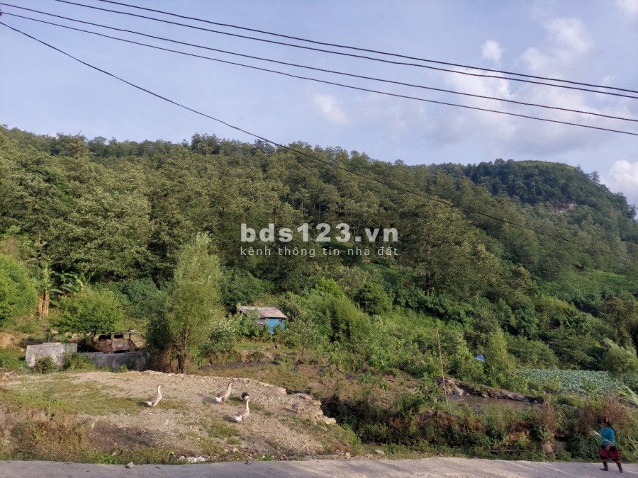 Bán mảnh đất siêu đẹp làm nghỉ dưỡng tại Phan Cán Sử, Y Tý- Sapa 2