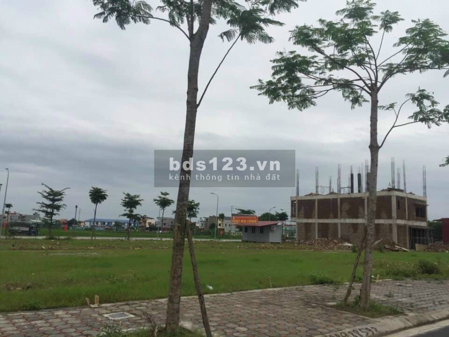Bán đất có sổ hạ tầng đẹp, xây dựng được luôn Yên Dũng, tỉnh Bắc Giang