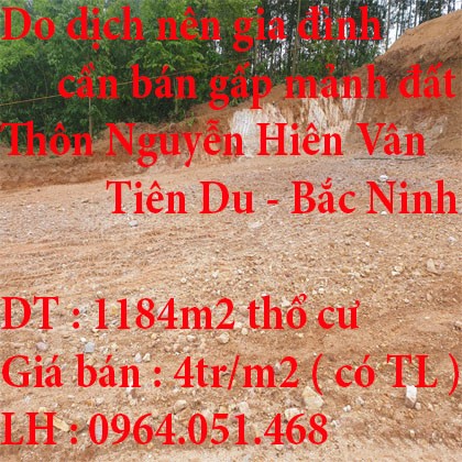 Do dịch nên gia đình cần bán gấp mảnh đất diện tích 1184m2 tại Thôn Nguyễn Hiên Vân Tiên Du Bắc Ninh