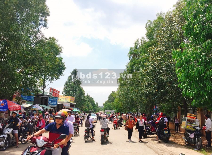 Chồng tôi chuyển công tác về Sơn La nên bán đất ở KCN Becamex Chơn Thành để ra bắc
