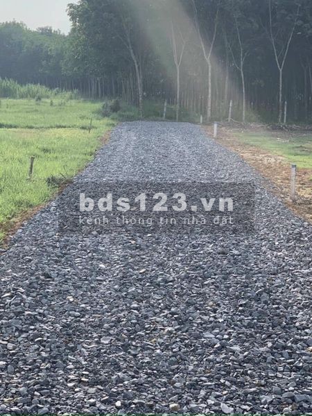 Cần bán đất vườn có 100m2 thổ cư gần tỉnh lộ 9 Củ Chi, 450m2 chỉ 2,1 tỷ Lh: 0982638022
