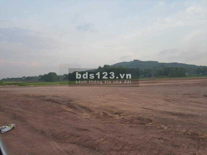 Chuyển Nhượng Đất 4ha ở Như Quỳnh Hưng Yên, giấy tờ pháp lý đầy đủ, giá 2.5 triệu/m2