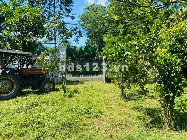 Cần bán lô đất hơn 1000m2, mặt tiền đường sẹc Nguyễn Thị Rành, Củ Chi, 300m2 thổ cư chỉ 6 tỷ đồng