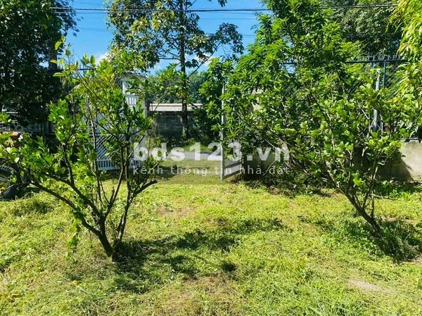 Cần bán lô đất hơn 1000m2, mặt tiền đường sẹc Nguyễn Thị Rành, Củ Chi, 300m2 thổ cư chỉ 6 tỷ đồng