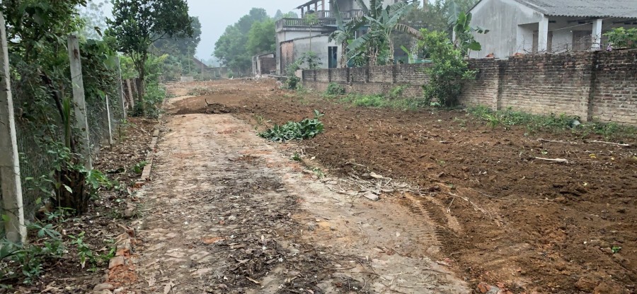Vùng đất nguyên sơ với diện tích 854 m2 cổng vào dự án FLC đô thị sinh thai thể thao và du lịch