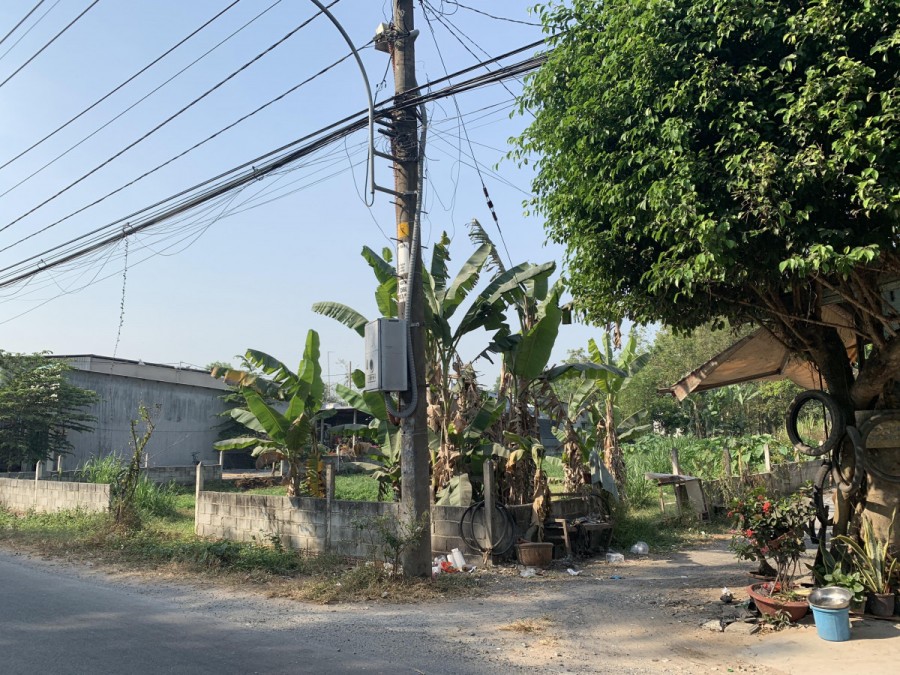 Bán đất 1793m2 mặt tiền Nguyễn Thị Rành xã An Nhơn Tây huyện Củ Chi