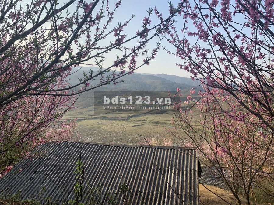 Bán đất Y Tý thôn Phìn Hồ view Hồ 22ha thế đất đẹp ngắm hoa đào.0822356688