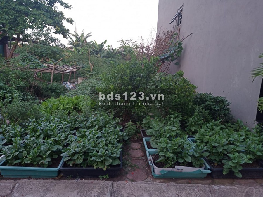 Vip, Bán lô đất đối diện khu đô thị Hồng Hà eco City, 58m2 mặt 4m, chỉ nhỉnh 3 Tỷ