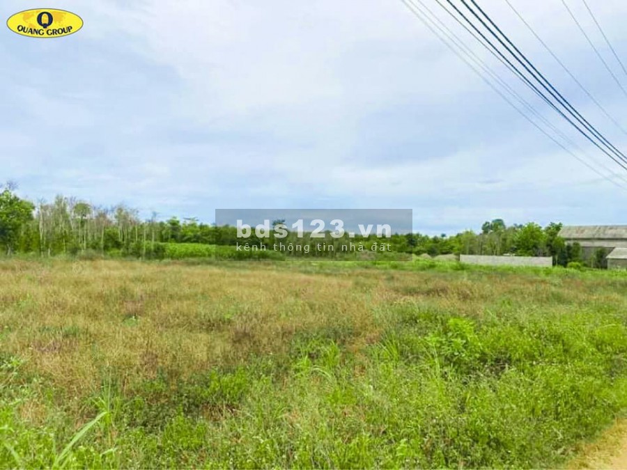 Chính chủ bán lô đất mặt tiền đường nhựa giá đầu tư, khu dân cư đông