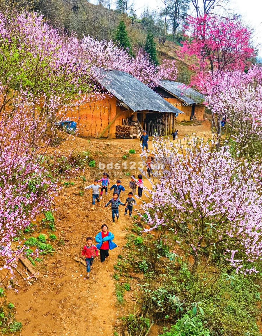 Bán đất Y Tý thôn Phìn Hồ view Hồ 22ha thế đất đẹp ngắm hoa đào.0822356688