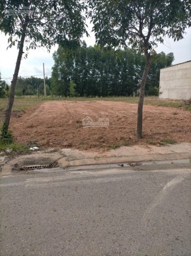 Gia đình ra Bắc định cư nên cần bán gấp lô đất 105m2 chính chủ, an toàn pháp lý ở Mỹ Phước, Bình Dương