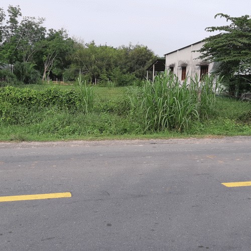 Cần bán đất vườn 1577m2 mặt tiền Nguyễn Thị Rành xã An Nhơn Tây huyện Củ Chi