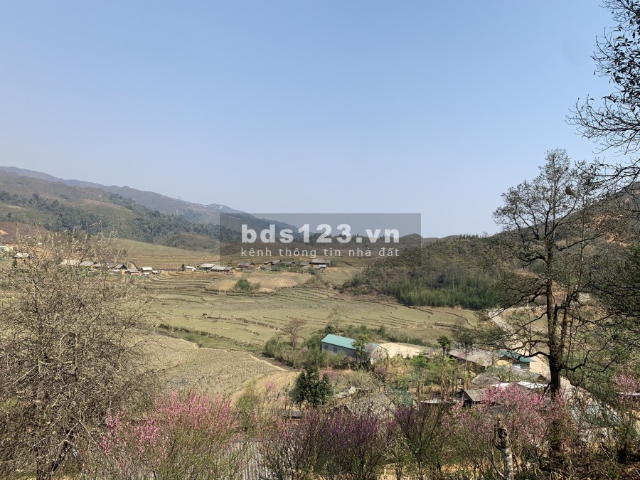 Bán đất Y Tý thôn Phìn Hồ view Hồ 22ha thế đất đẹp ngắm hoa đào.0822356688