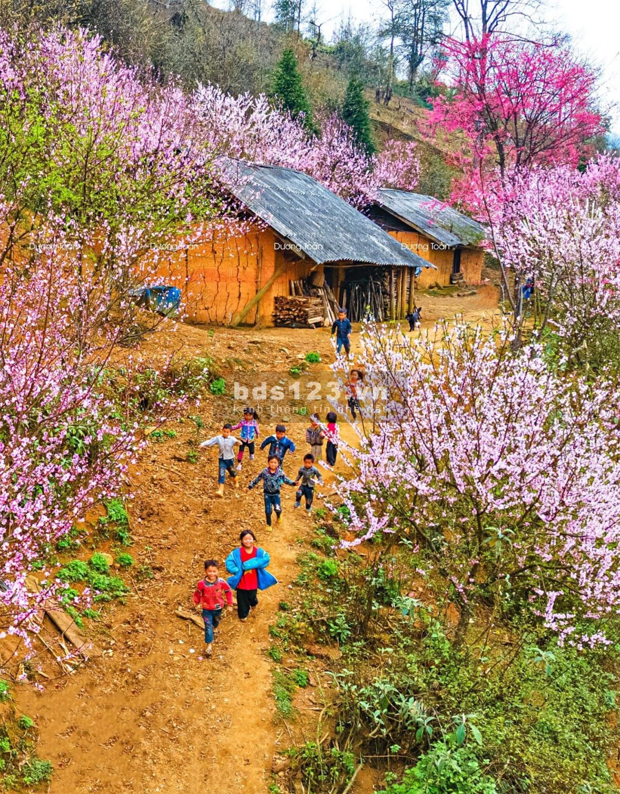 Bán đất Y Tý thôn Phìn Hồ view Hồ 22ha thế đất đẹp ngắm hoa đào.0822356688