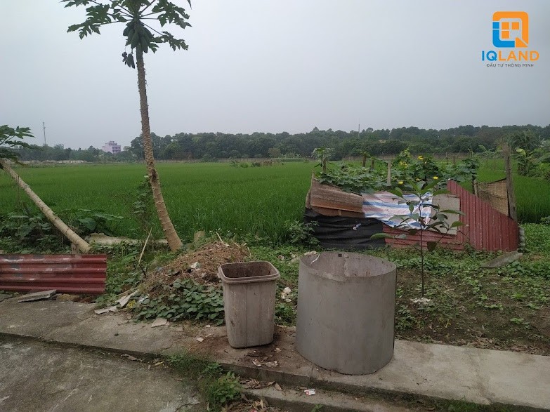 Đất rộng 172m2 Bìa Làng Xuân Bách Quang Tiến Sóc Sơn Đường 5m giá bán 10tr/m