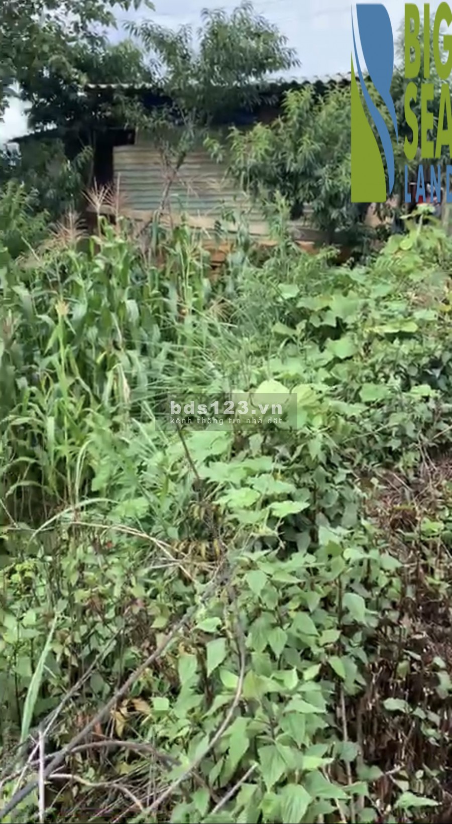 Sở hữu bđs tiềm năng ngay hôm nay với những ưu đãi đặc biệt tại Phìn Hồ-Y Tý(sapa2)