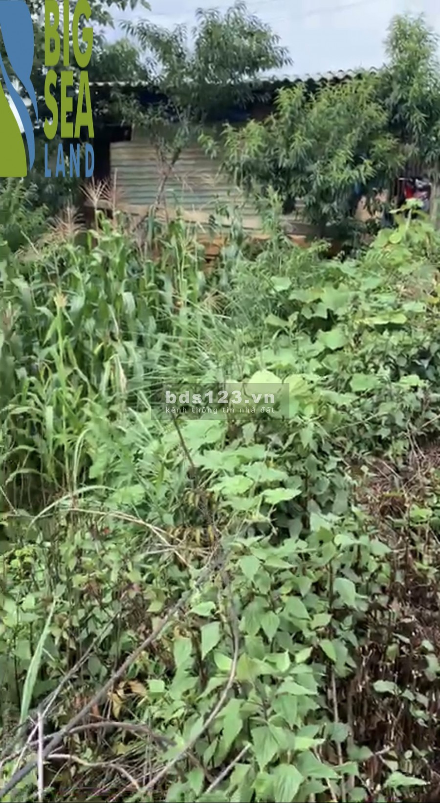 Sở hữu bđs tiềm năng ngay hôm nay với những ưu đãi đặc biệt tại Phìn Hồ-Y Tý(sapa2)