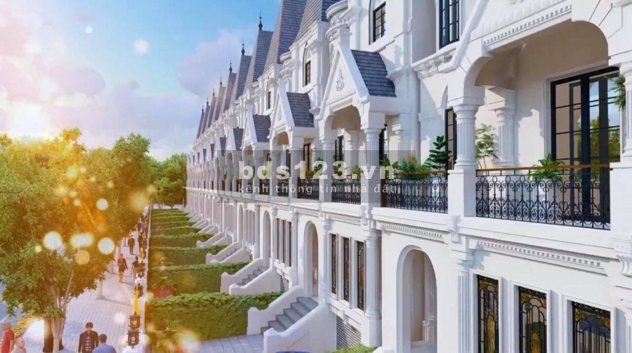 Bán biệt thự phong cách tân cổ điển châu Âu vị trí đẹp, 2 mặt tiền, giá 245tr/m2