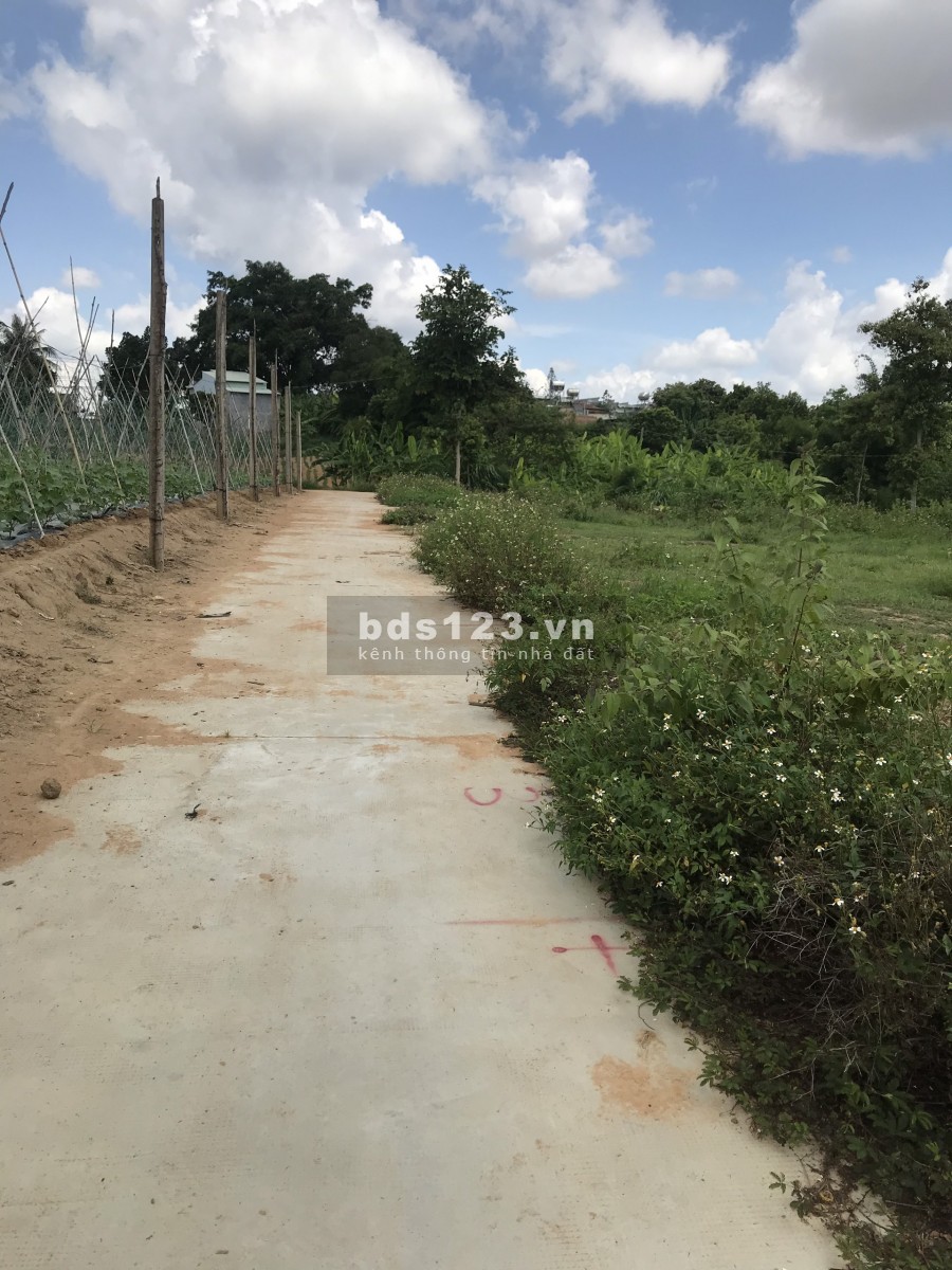 Cần tiền chủ bán lô đất hẻm 673 Đường Phạm Văn Đồng, diện tichs 250m2, có 50m2 thổ cư