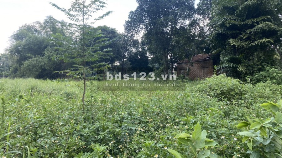 Bán đất diện tích rộng 1450m2 có 200m thổ cư view cánh đồng , Hoà Sơn Lương Sơn