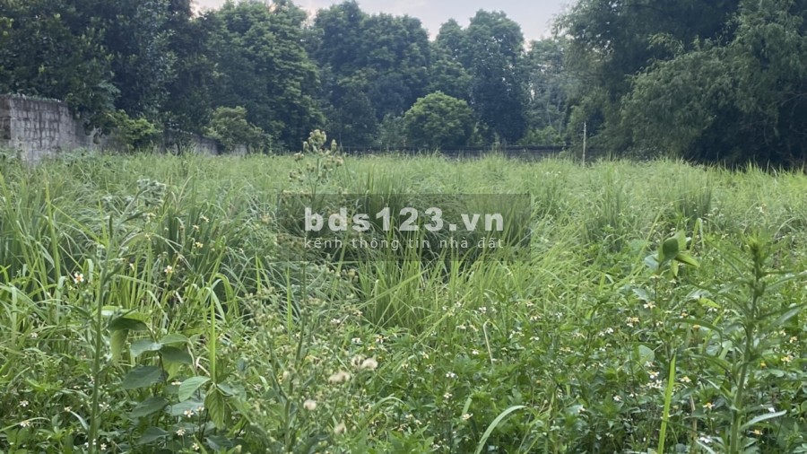 Bán đất diện tích rộng 1450m2 có 200m thổ cư view cánh đồng , Hoà Sơn Lương Sơn