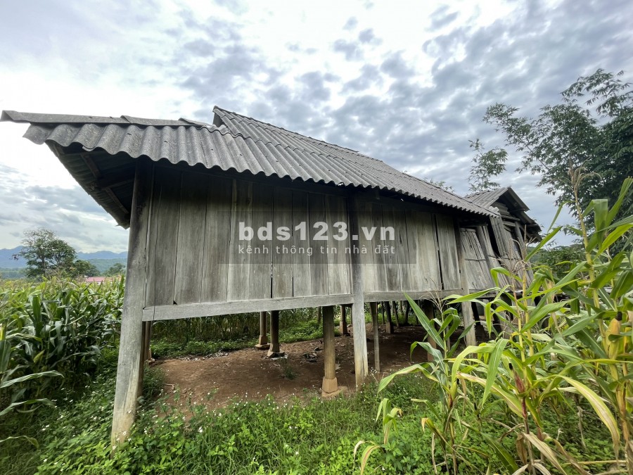 Bán đất Mộc Châu ngay trung tâm dt 2000m2 có thổ cư 0822356688