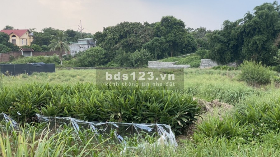 Bán đất diện tích rộng 1450m2 có 200m thổ cư view cánh đồng , Hoà Sơn Lương Sơn