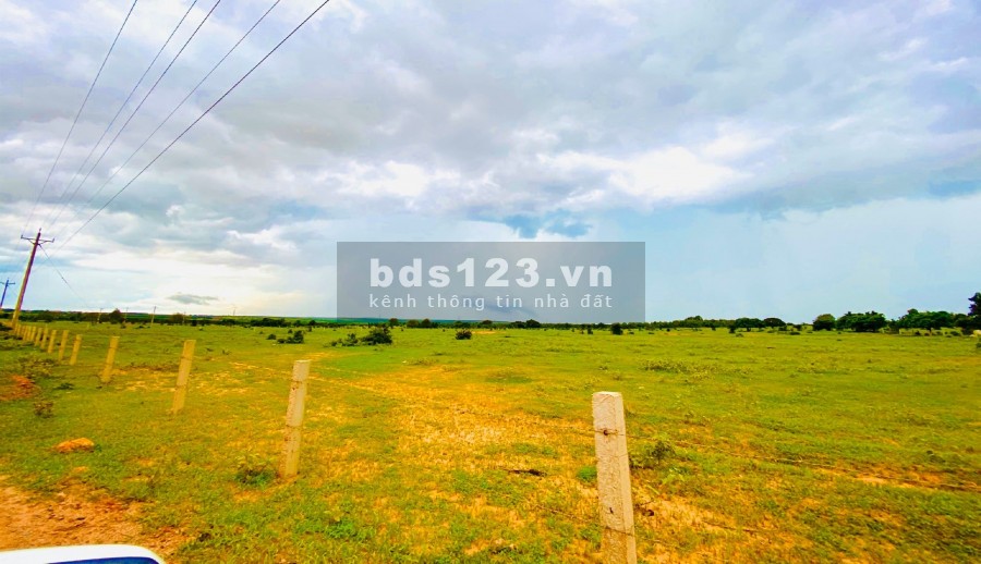 Lô Đất Vườn Gần Đường Dt 716 Ở Xã Hòa Thắng, vị trí đẹp, đường vào rộng
