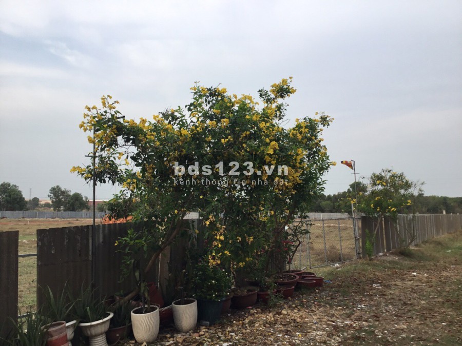 Bán 1 Hecta đất ở cho Nhà đầu tư phân lô-mặt tiền Sông Cái Nha Trang-Diên Khánh