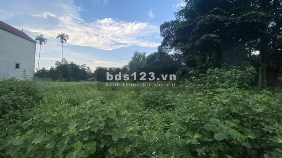 Bán đất diện tích rộng 1450m2 có 200m thổ cư view cánh đồng , Hoà Sơn Lương Sơn