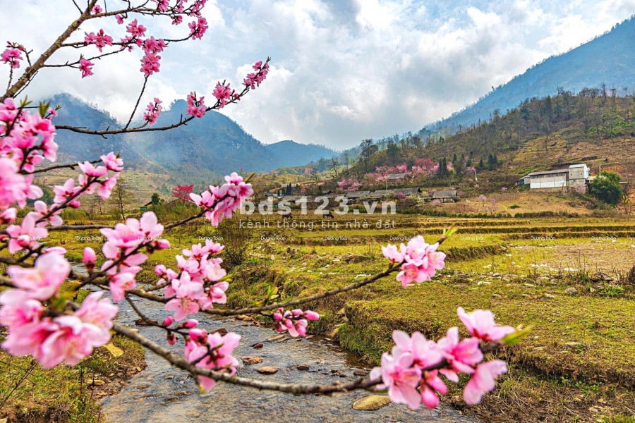 Bán đất Y Tý thôn Phìn Hồ view Hồ 22ha thế đất đẹp ngắm hoa đào. 0822356688
