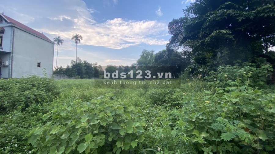 Bán đất diện tích rộng 1450m2 có 200m thổ cư view cánh đồng , Hoà Sơn Lương Sơn