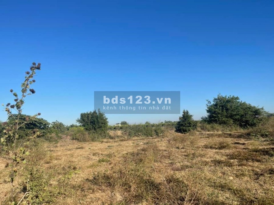 Lô Đất Vườn Gần Đường Dt 716 Ở Xã Hòa Thắng, vị trí đẹp, đường vào rộng