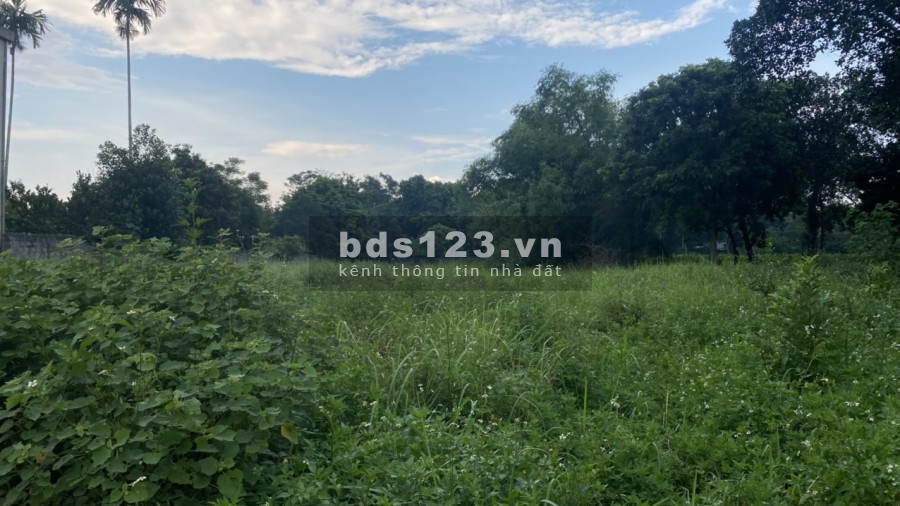 Bán đất diện tích rộng 1450m2 có 200m thổ cư view cánh đồng , Hoà Sơn Lương Sơn