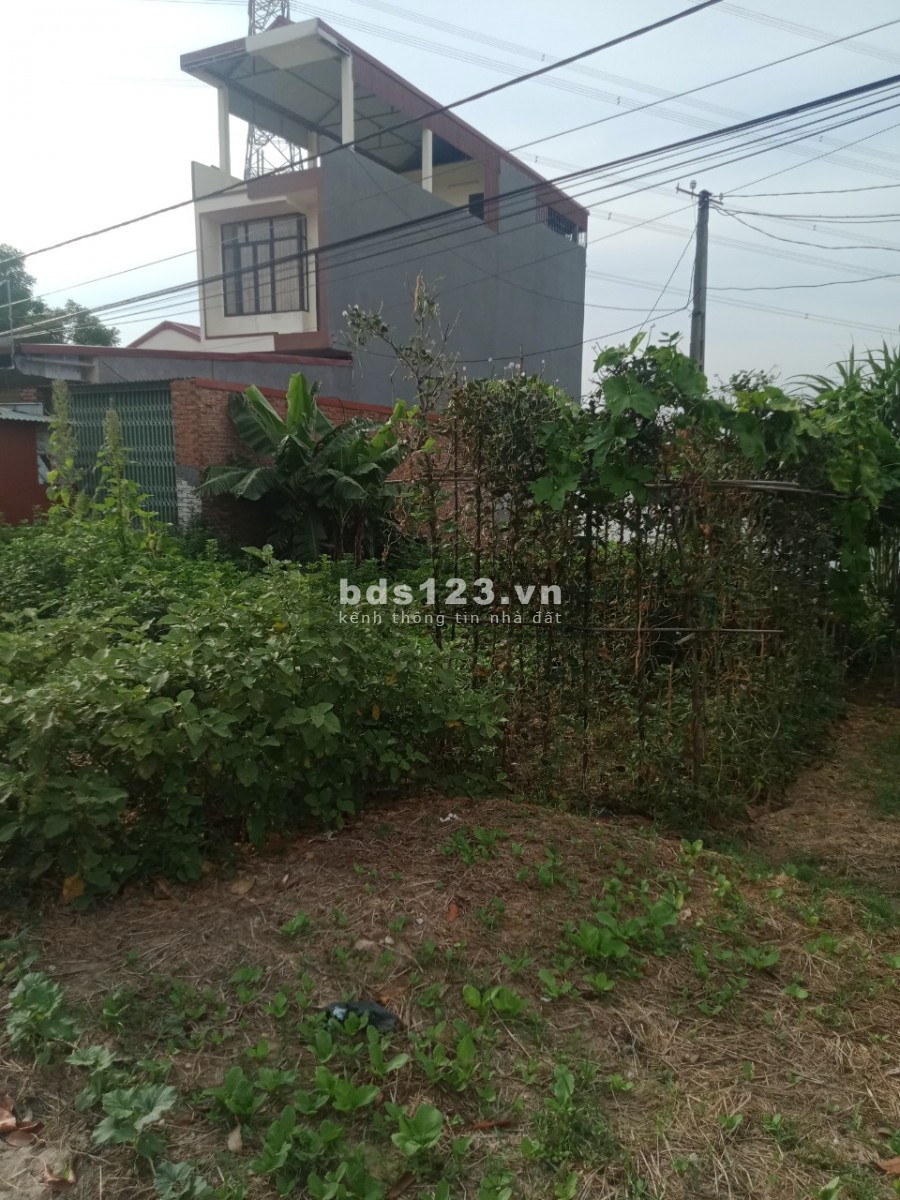 Bán đất mặt đường Quốc lộ 281 Lương Tài, phân lô kinh doanh, dt 172m2, mt 9m, giá 3.495 tỷ