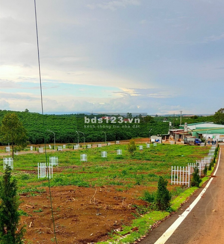 Cần bán gấp lô đất 110m2 thổ cư ngay chợ Lộc Quảng,…