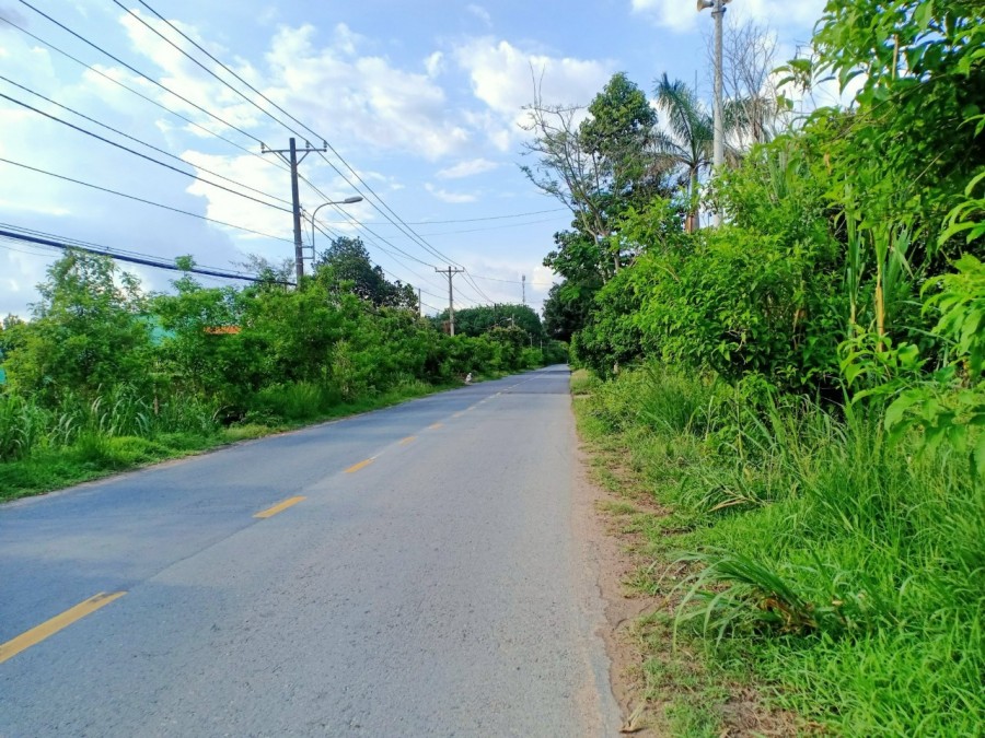 Bán đất diện tích 984m2 mt Nguyễn Thị Rành xã Phú Mỹ Hưng huyện Củ Chi