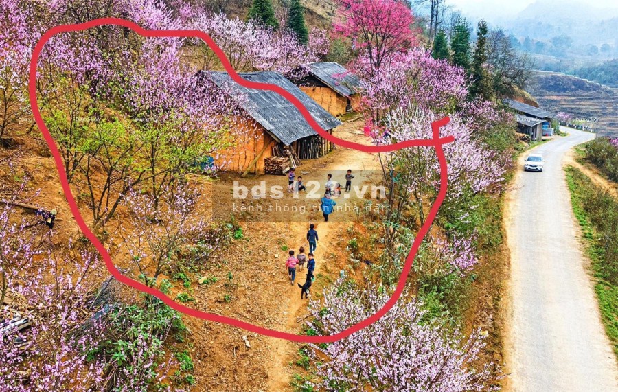 Bán đất Y Tý thôn Phìn Hồ view Hồ 22ha thế đất đẹp ngắm hoa đào. 0822356688