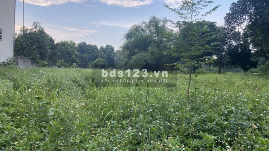 Bán đất diện tích rộng 1450m2 có 200m thổ cư view cánh đồng , Hoà Sơn Lương Sơn